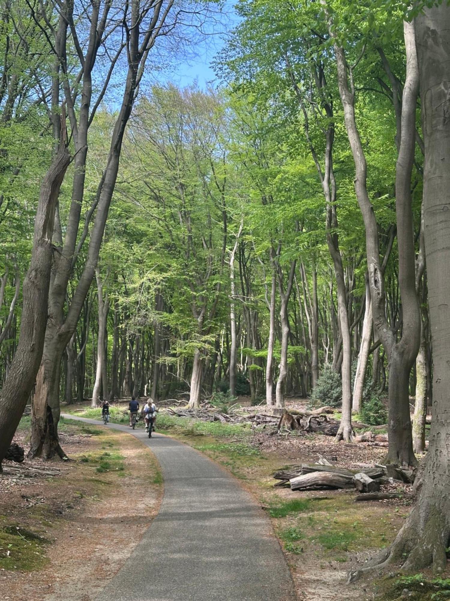 Heerlijk Chalet Midden In De Natuur 푸텐 외부 사진